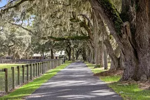 551 NE 200th Ave, Williston, FL 32696 - Photo 5