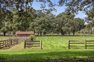 551 NE 200th Ave, Williston, FL 32696 - Photo 25