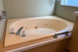 1894 Elizabeth Ln, Mount Dora, FL 32757 - Photo 19