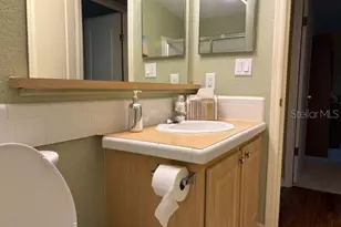 1894 Elizabeth Ln, Mount Dora, FL 32757 - Photo 45