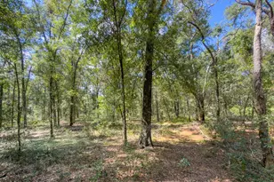 9309 Happy Trail, Brooksville, FL 34601 - Photo 53