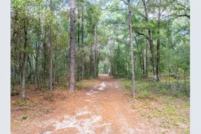 9309 Happy Trl, Brooksville, FL 34601 - Photo 5