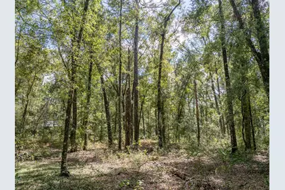 9309 Happy Trl, Brooksville, FL 34601 - Photo 51