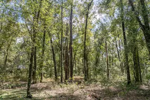 9309 Happy Trail, Brooksville, FL 34601 - Photo 51