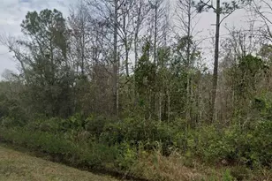 4260 Benedict St, Hastings, FL 32145 - Photo 1