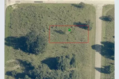 7692 N Fisher Trrace, Citrus Springs, FL 34434 - Photo 3