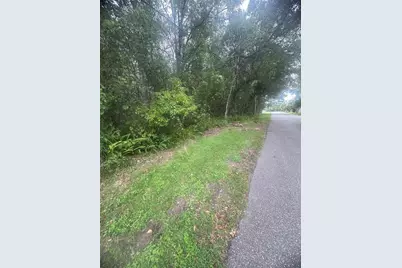 6117 Cornelia Avenue, Orlando, FL 32807 - Photo 1