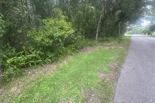 6117 Cornelia Ave, Orlando, FL 32807 - Photo 1