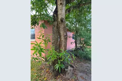 3502 Arch Street, Orlando, FL 32808 - Photo 63