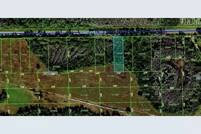 Deen Still Road E, Polk City, FL 33868 - Photo 3