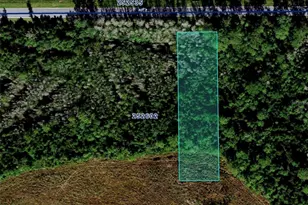 Deen Still Road E, Polk City, FL 33868 - Photo 1