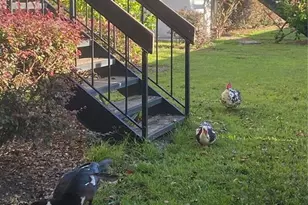 4400 Castlepalm Rd, Orlando, FL 32839 - Photo 3