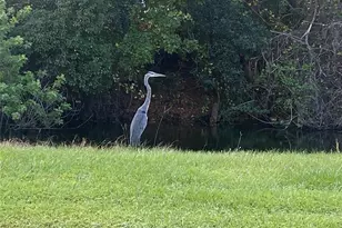 4400 Castlepalm Rd, Orlando, FL 32839 - Photo 35