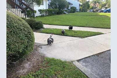 4400 Castlepalm Road, Orlando, FL 32839 - Photo 35