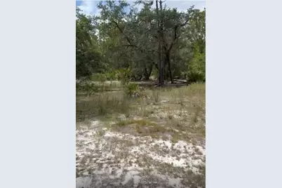 Orchid Drive, Indian Lake Estates, FL 33855 - Photo 3