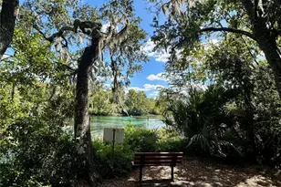 19126 SW 101st St, Dunnellon, FL 34432 - Photo 15