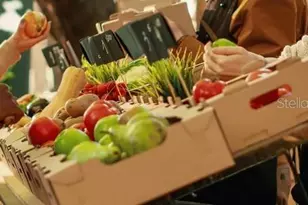 12 Hemlock Circle, Ocala, FL 34472 - Photo 29