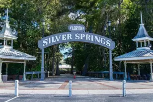 12 Hemlock Circle, Ocala, FL 34472 - Photo 27