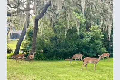 203 S Sweetwater Cove Boulevard, Longwood, FL 32779 - Photo 39