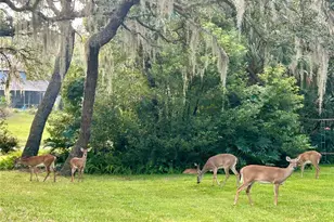 203 S Sweetwater Cove Blvd, Longwood, FL 32779 - Photo 39