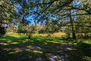 203 S Sweetwater Cove Blvd, Longwood, FL 32779 - Photo 43