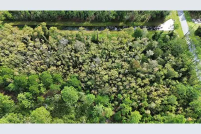 Bassett Avenue, Orlando, FL 32833 - Photo 5