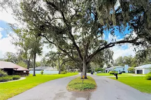 5901 Deer Flag Dr, Lakeland, FL 33811 - Photo 7