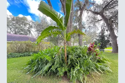 5901 Deer Flag Drive, Lakeland, FL 33811 - Photo 9