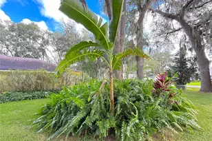 5901 Deer Flag Dr, Lakeland, FL 33811 - Photo 9