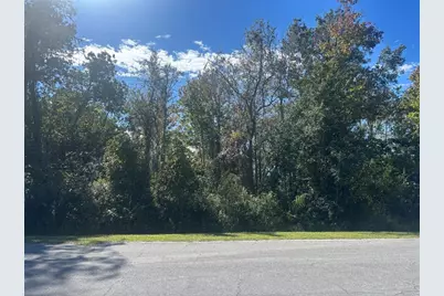 0 Newburg Street, Orlando, FL 32833 - Photo 1