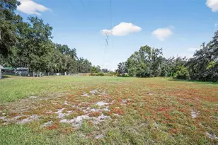 12706 McIntosh Rd, Thonotosassa, FL 33592 - Photo 29