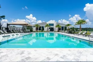 18772 Grand Live Oak Blvd, Land O Lakes, FL 34638 - Photo 3