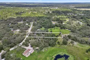 13306 Vivian Ln, Hudson, FL 34669 - Photo 7