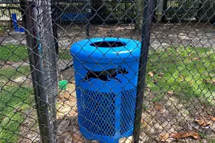 12843 Madison Pointe Circle E, Orlando, FL 32821 - Photo 49