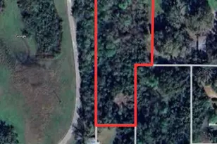 Private Dr, Tavares, FL 32778 - Photo 1