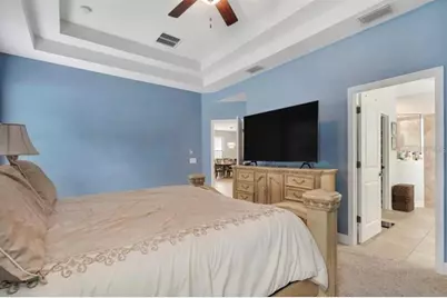 4392 Vermillion Sky Drive, Wesley Chapel, FL 33544 - Photo 17