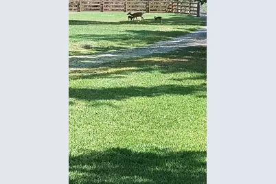 372 Wekiva Park Drive, Sanford, FL 32771 - Photo 11