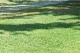 372 Wekiva Park Dr, Sanford, FL 32771 - Photo 11