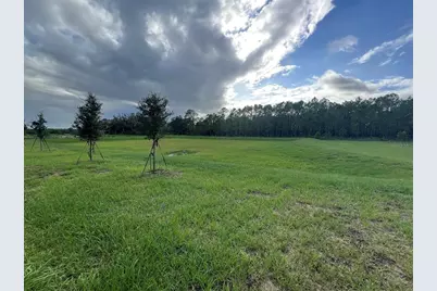 2655 Angel Falls Drive, Davenport, FL 33837 - Photo 5