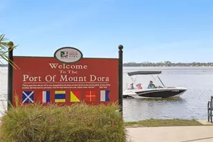 1011 Liberty Ave, Mount Dora, FL 32757 - Photo 35