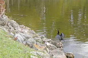 1011 Liberty Ave, Mount Dora, FL 32757 - Photo 41