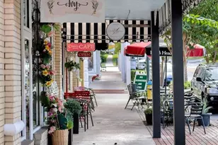 1011 Liberty Ave, Mount Dora, FL 32757 - Photo 65