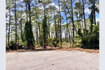 Chinaberry Way, Eustis, FL 32736 - Photo 3