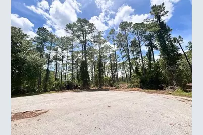 Chinaberry Way, Eustis, FL 32736 - Photo 1