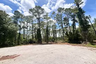 Chinaberry Way, Eustis, FL 32736 - Photo 1