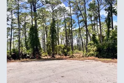 Chinaberry Way, Eustis, FL 32736 - Photo 3