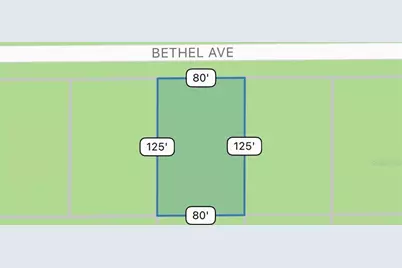 14233 Bethel Avenue, Port Charlotte, FL 33953 - Photo 5