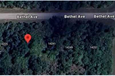 14233 Bethel Avenue, Port Charlotte, FL 33953 - Photo 3