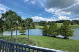 30101 Bretton Loop, Mount Dora, FL 32757 - Photo 33