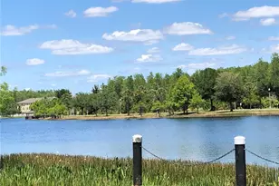 10229 Lake District Ln, Orlando, FL 32832 - Photo 15